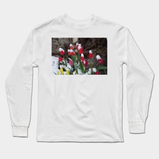 Tulips and April Snow Long Sleeve T-Shirt